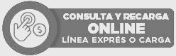 Consulta de Información y tramites en linea exprés y control empresarial